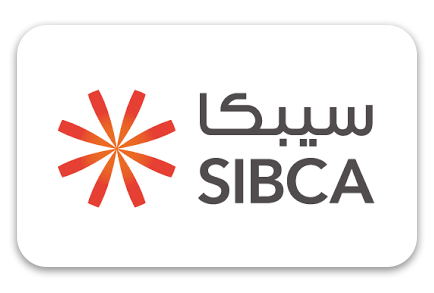 SIBCA ELECTRONIC EQUIPMENT COMPANY LIMITED - SOLE PROPRIETORSHIP L.L.C.